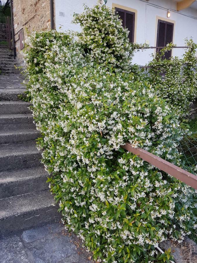 La Palma Villa Miazzina Kültér fotó